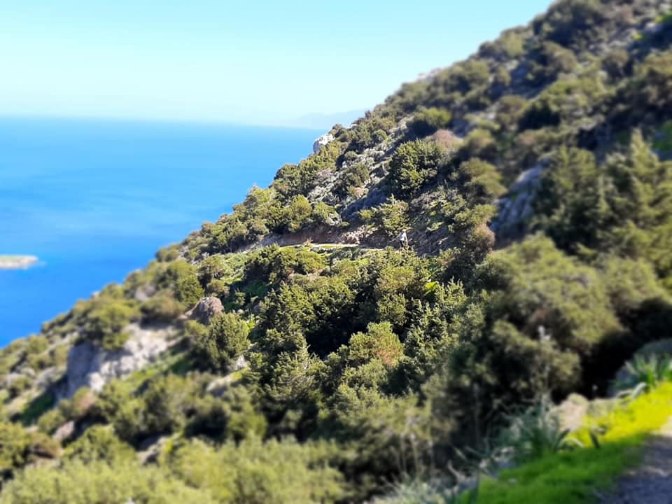 Aphrodite Nature Trail