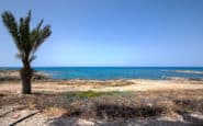 Tranquil coastal scene with lone palm tree, sandy beach, and azure sea under clear blue sky.