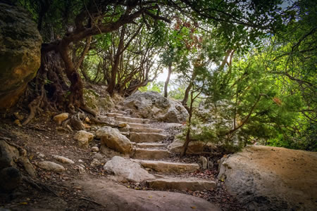 Baths of Aphrodite